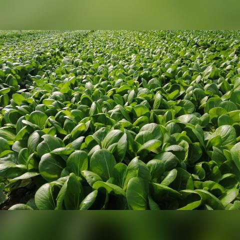 储运岗需掌握哪些核心技能与职责？