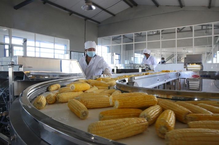 玉米加工都有哪些