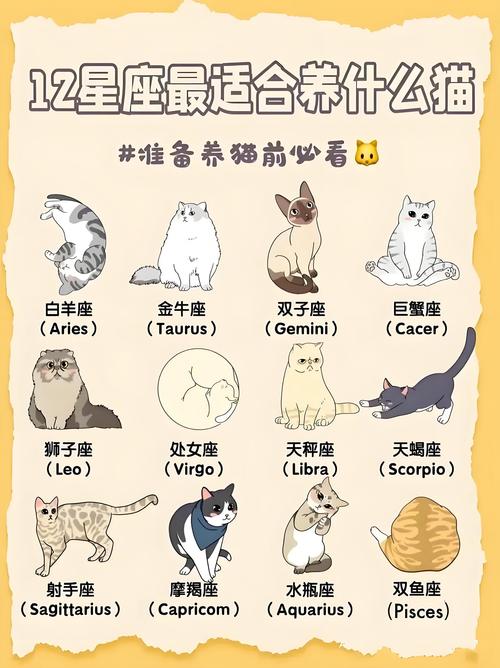 课外喵哪些城市