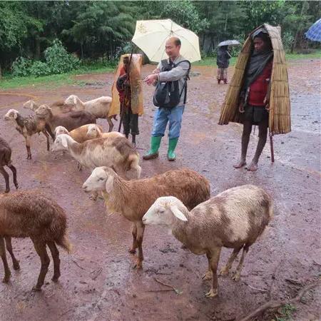 畜牧岗位职责要求具体包含哪些核心内容？