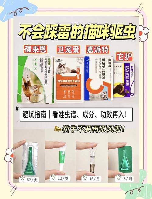 懒猫有哪些产品