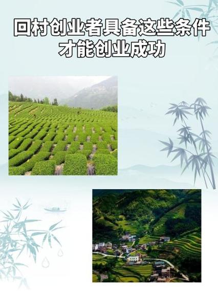 创业条件具备哪些