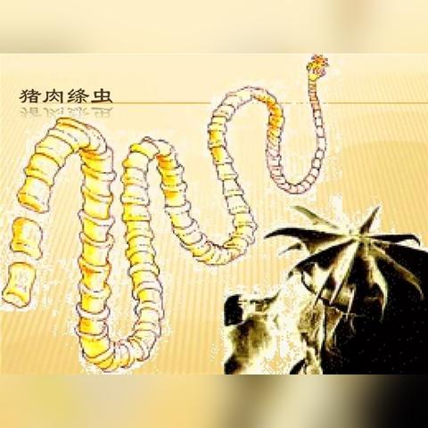 超市精肉岗的核心职责与工作标准是什么? 超市精肉岗的核心职责与工作标准是什么?