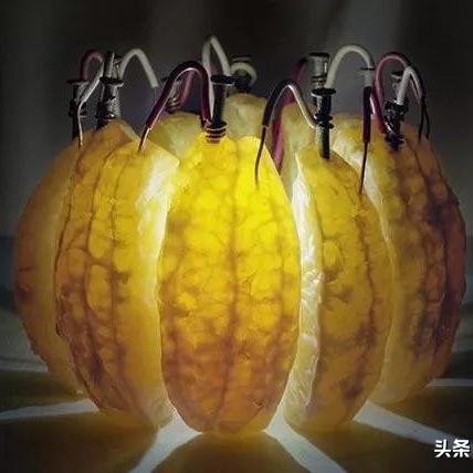 电解铸造岗位职责具体有哪些? 电解铸造岗位职责具体有哪些?