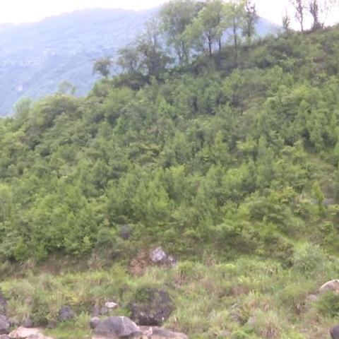 物业督察岗具体职责是什么？