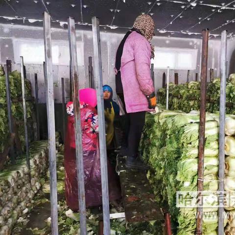 门店行业有哪些？