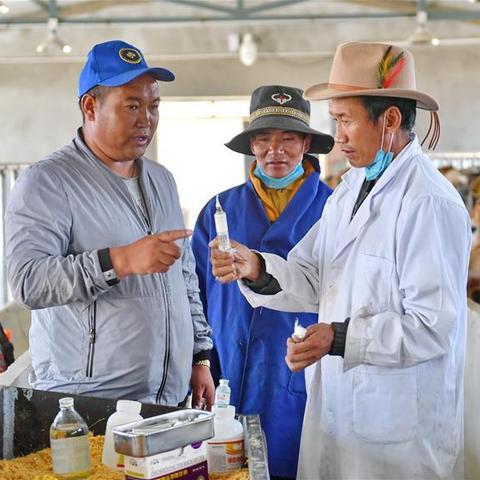 学校猪场岗位职责具体有哪些？