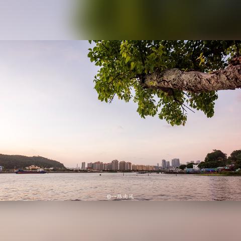 澳门奶茶有哪些招牌必喝? 澳门奶茶有哪些招牌必喝?