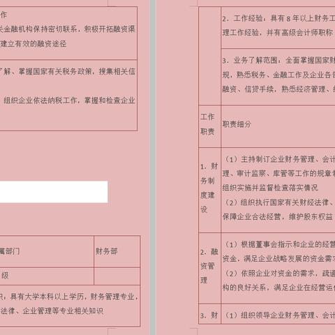 专业会计岗位职责具体包含哪些核心内容? 专业会计岗位职责具体包含哪些核心内容?