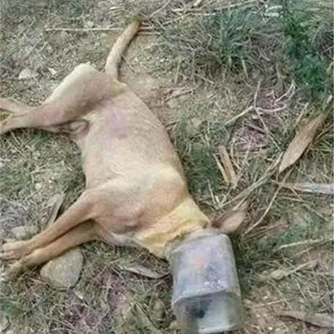 景区哪些东西好卖？