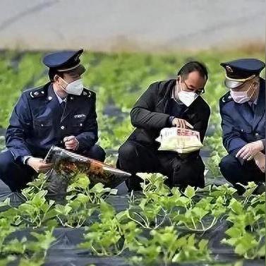 兽药经理岗位职责 兽药经理岗位职责