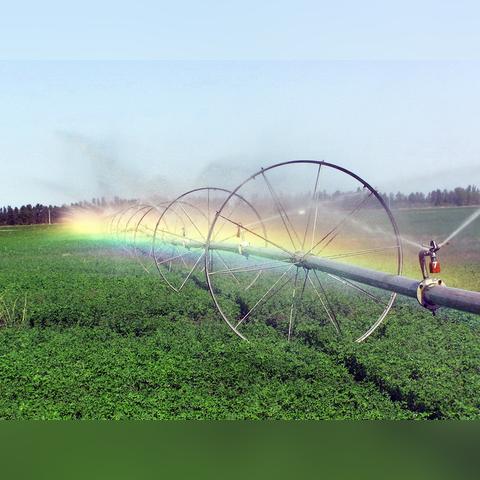 农业项目具体包含哪些类型？