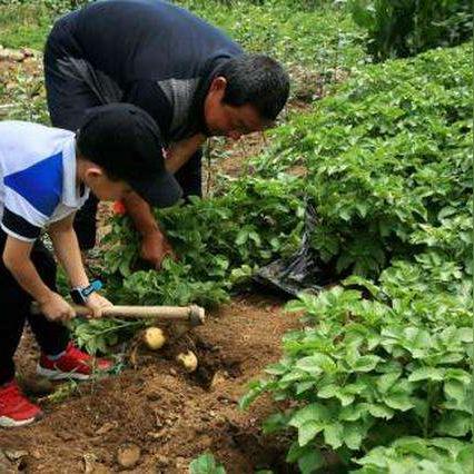 农业项目具体包含哪些类型？