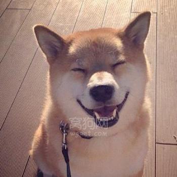 夜班秩序岗位职责具体有哪些？