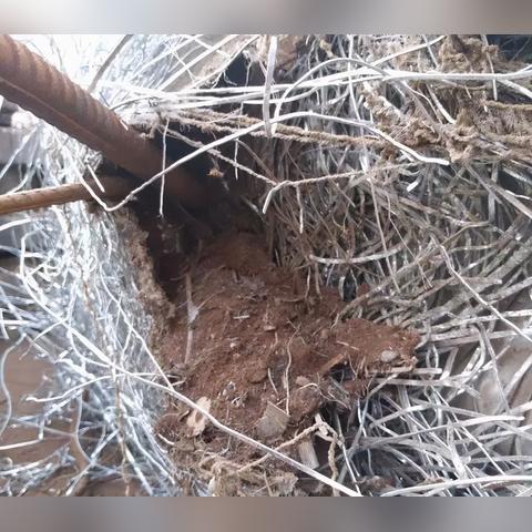 数据质检岗位职责具体包含哪些核心任务？