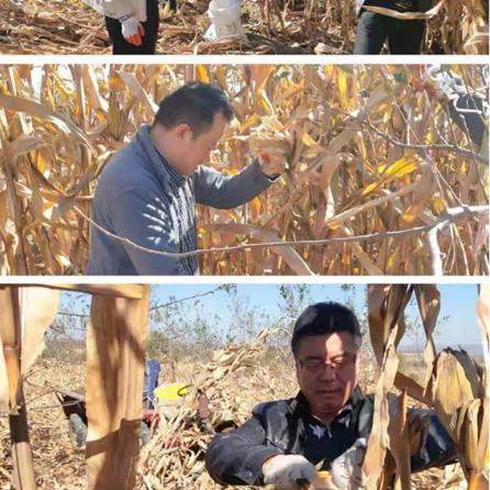 总编职责核心是什么？