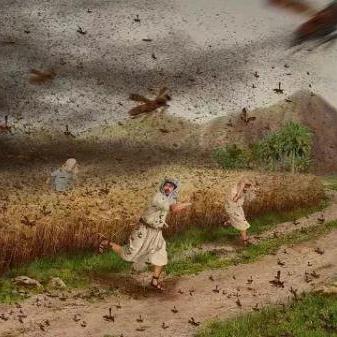 虫害防制岗位职责具体有哪些核心内容？