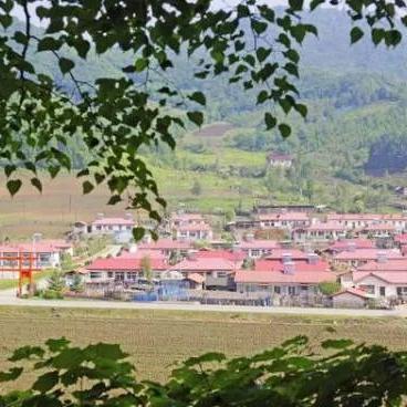 哪些参茸品牌最值得信赖？