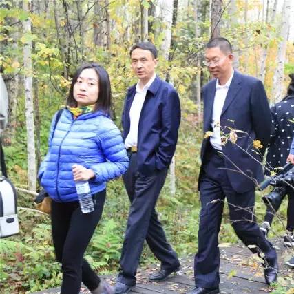 哪些参茸品牌最值得信赖？