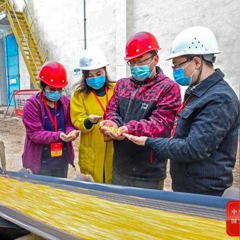 粮库主任岗位职责 粮库主任岗位职责