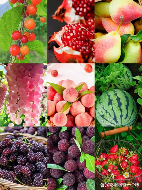 哪些大众水果