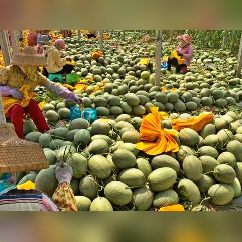 签单处岗位职责具体包含哪些核心任务? 签单处岗位职责具体包含哪些核心任务?