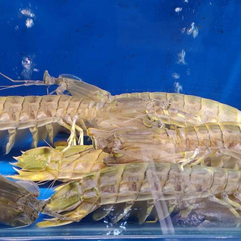 餐饮具体包含哪些类别与内容？