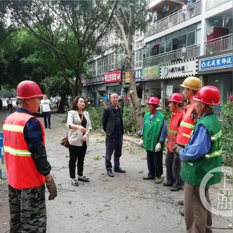 建设副总核心职责有哪些? 建设副总核心职责有哪些?