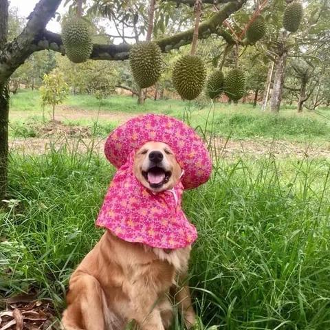 洗车大工具体职责范围有哪些？