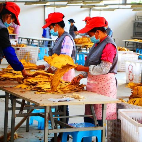 样品制作岗位职责具体包含哪些核心任务？