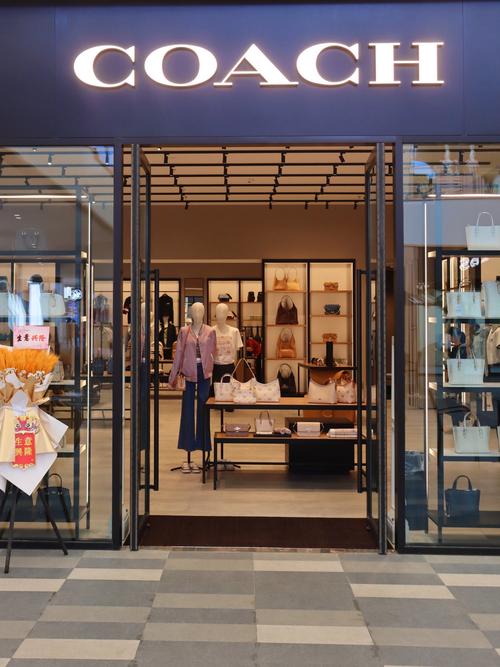 戴诗菲儿加盟店有哪些