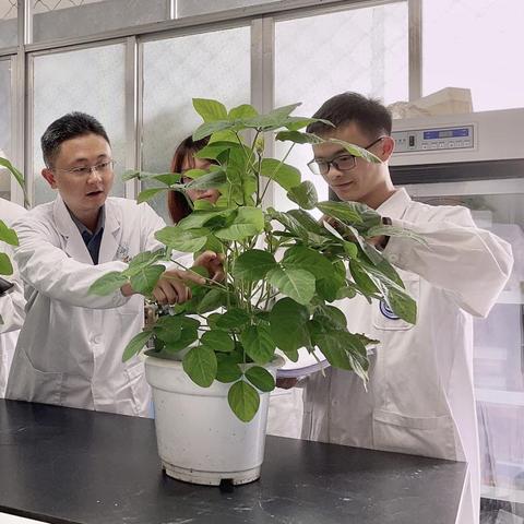 报告编写岗位职责具体包含哪些核心任务？