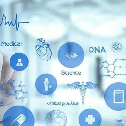 在家办公岗位职责如何明确界定与高效执行？