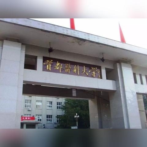 坐堂医具体职责范围与核心工作内容是什么？