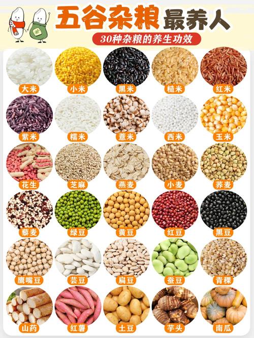 现代五谷杂粮有哪些