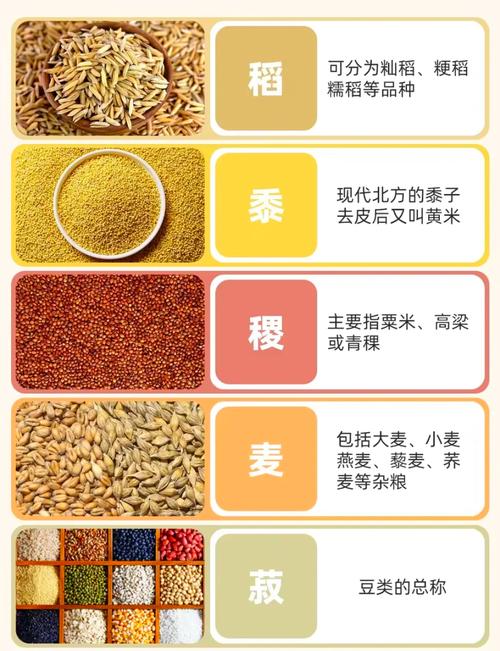现代五谷杂粮有哪些
