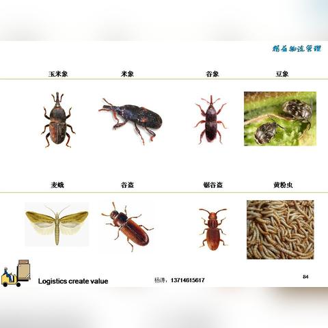 仓库岗位职责要求具体包含哪些核心内容？