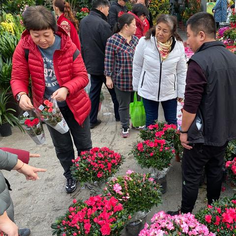 花卉培育岗位职责具体包含哪些工作？