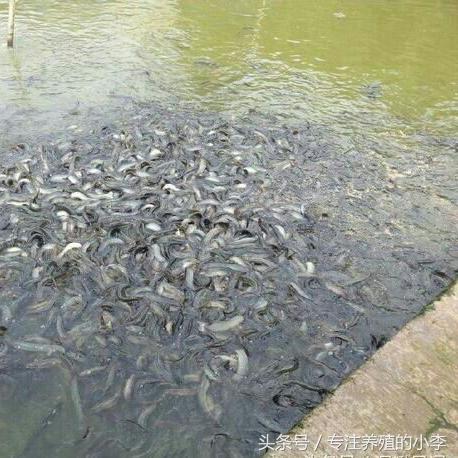 花卉培育岗位职责具体包含哪些工作？