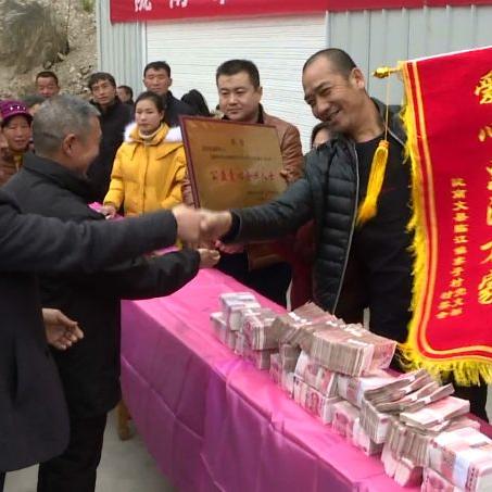 田宇橄榄油品牌有哪些？