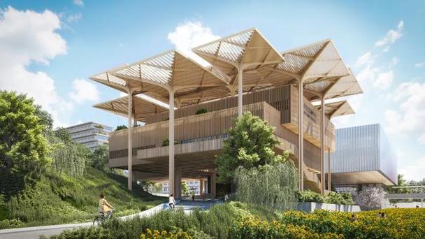 大学校园项目有哪些