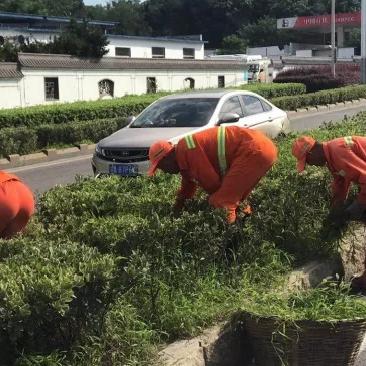 养护部岗位职责具体包含哪些核心内容？