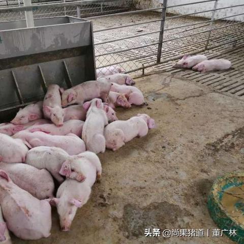 资本核算岗具体负责哪些核心工作？