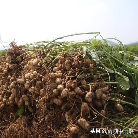 PM经理的核心职责究竟有哪些？