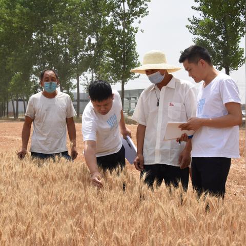 履约经理具体职责范围和核心任务是什么？