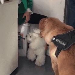 清洁经理岗位职责具体包括哪些核心任务？