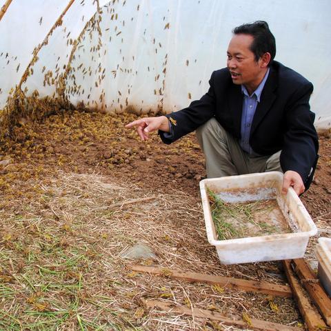 成功创业者有哪些特征