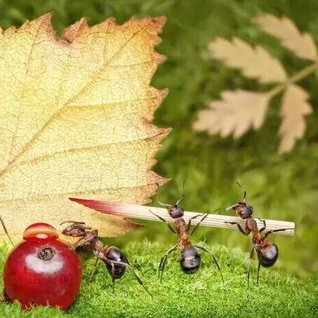 运营秘书的核心职责具体有哪些？