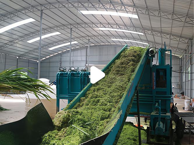 50个办厂好项目有哪些