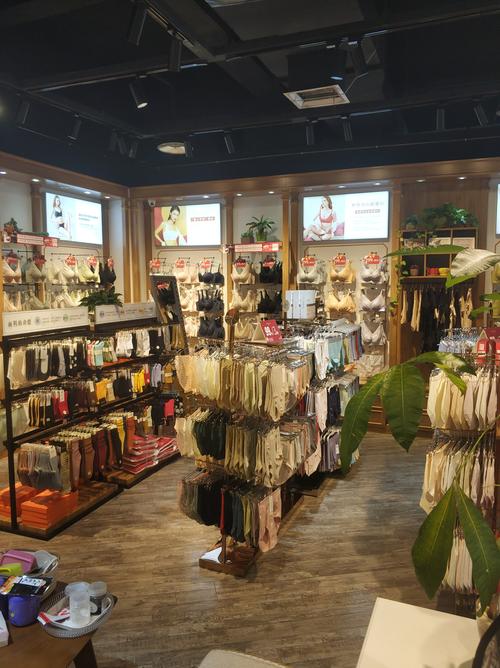 女人内衣专卖店有哪些